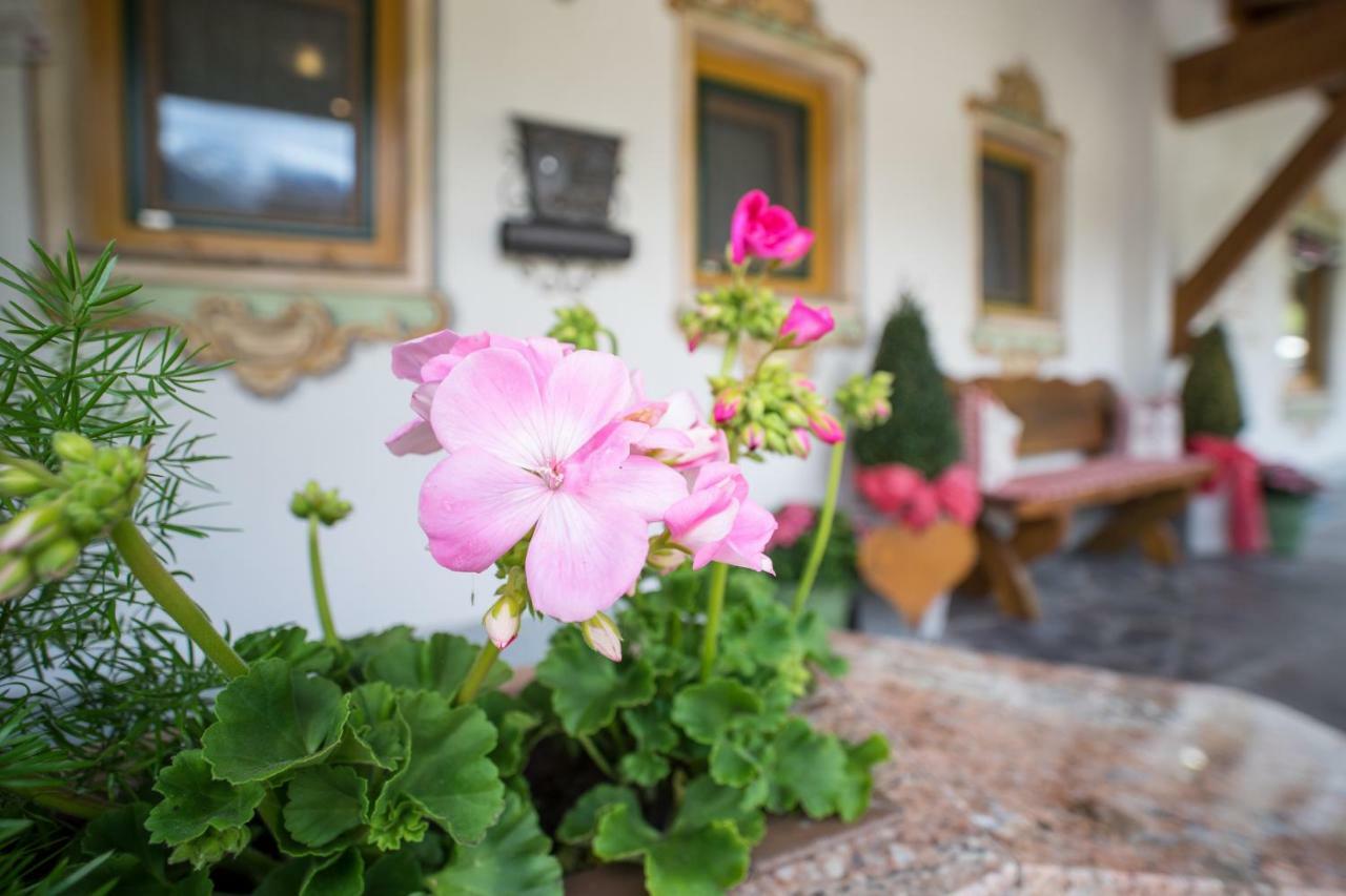 Ferienwohnung Permoser Neustift im Stubaital Kültér fotó